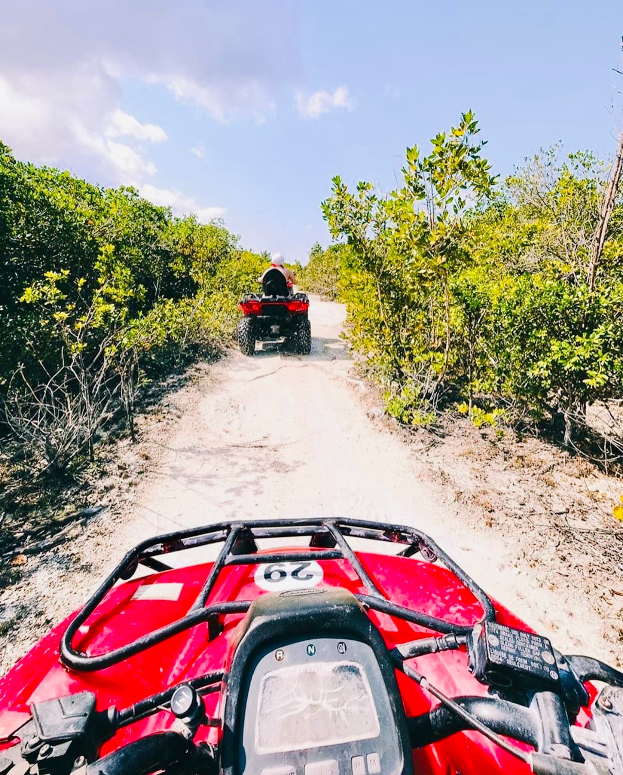 Cozumel ATV Tours - Snorkel & Hidden Beaches photo 3