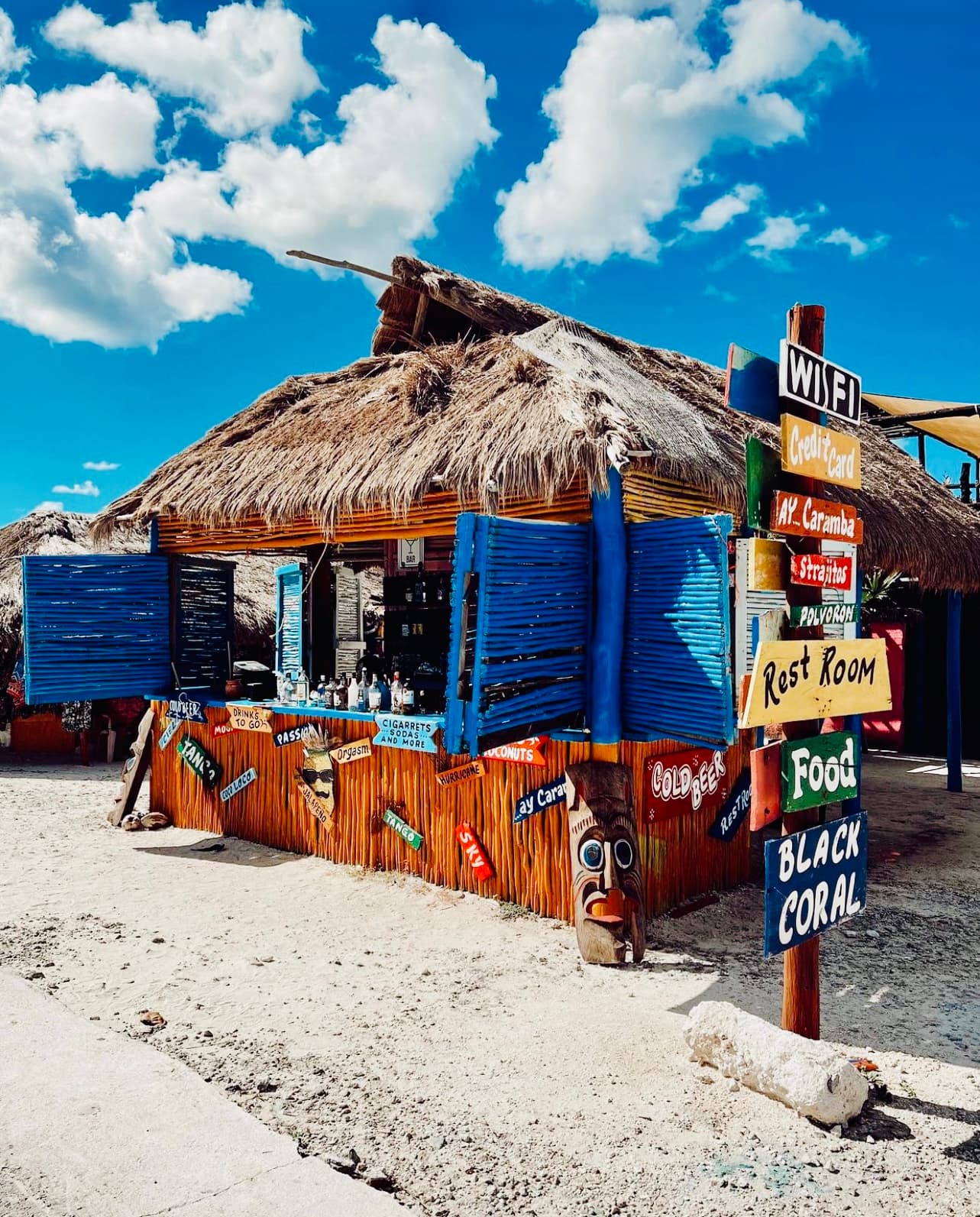 Cozumel Bar Hop Tour photo 2