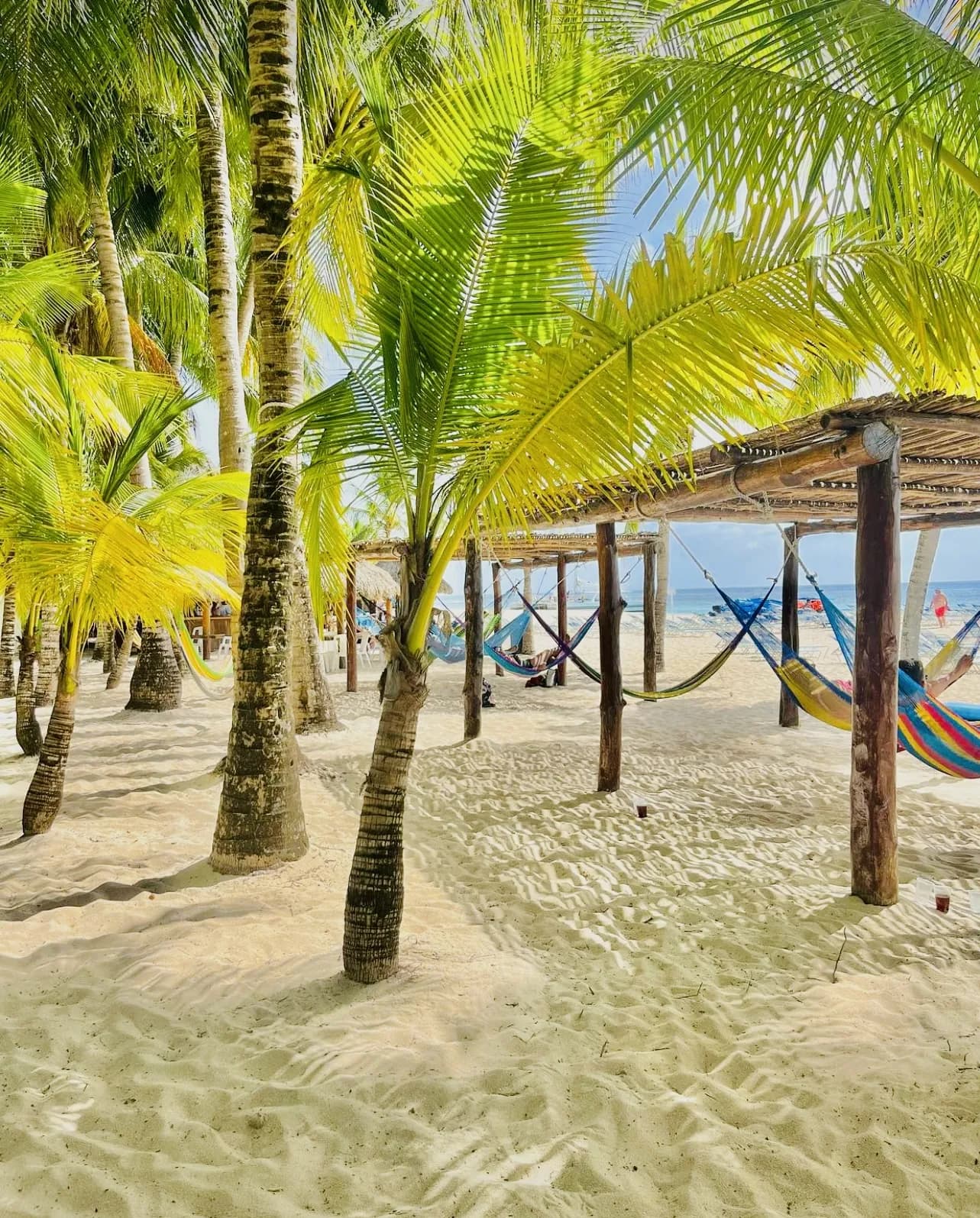 Cozumel Bar Hop Tour photo 3