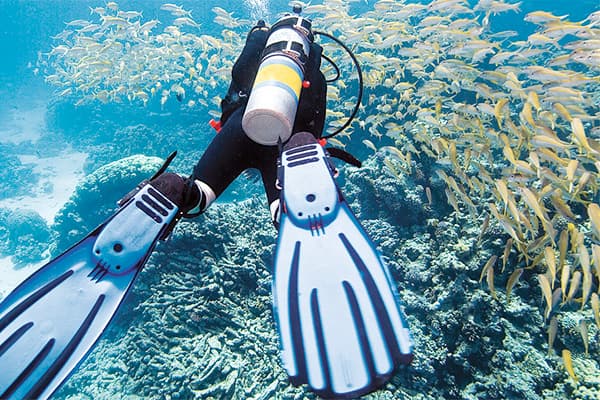 Discover Scuba Cozumel - Cozumel shore excursion