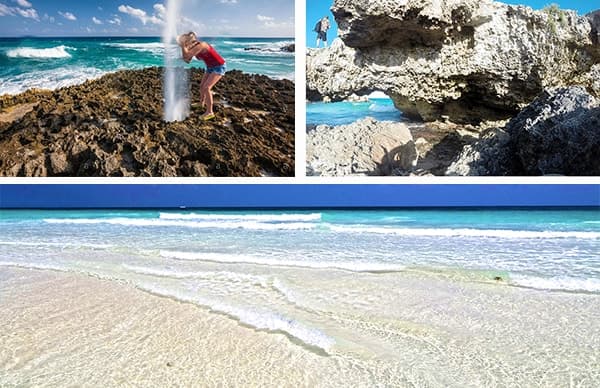 Cozumel Harley Davidson Rental Tour photo 5