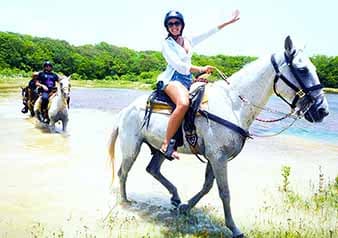Horseback Riding Cozumel - Cozumel shore excursion