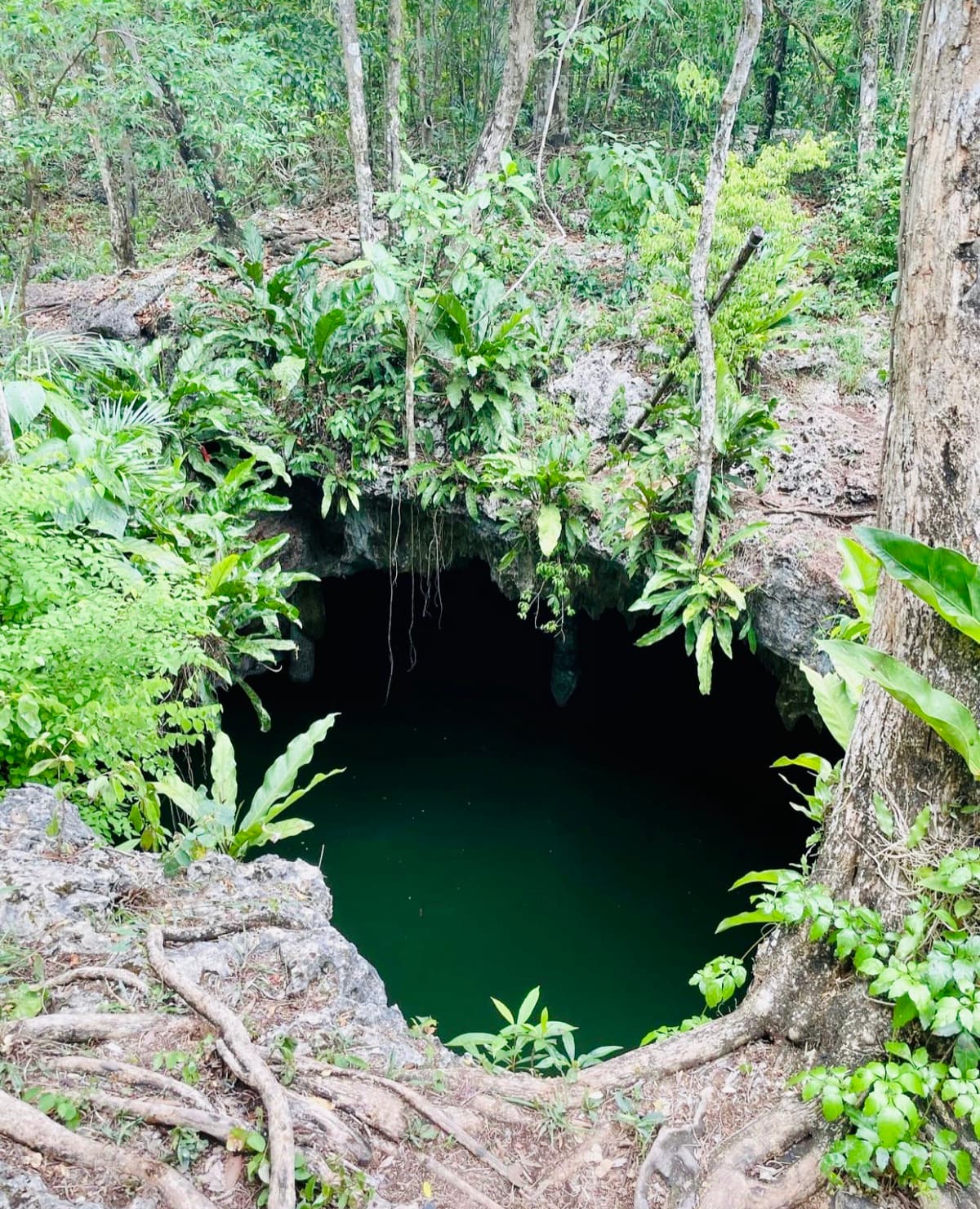 Private Jeep & Jade Cavern Cenote Tour Cozumel photo 5