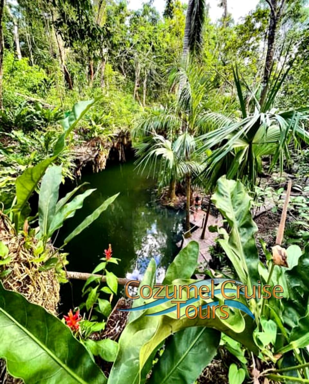 Private Jeep & ATV Tour to Jade Cavern Cozumel photo 6