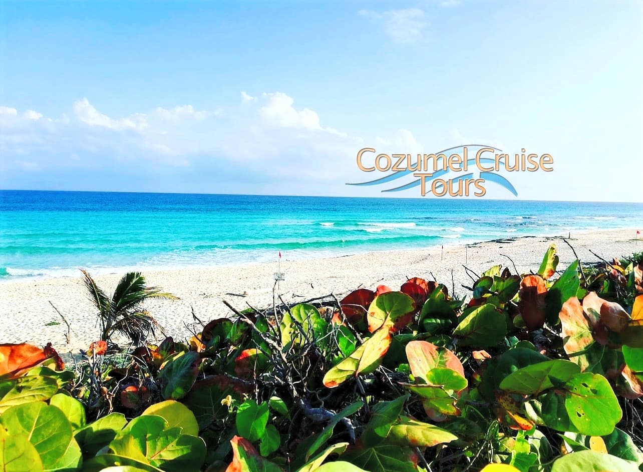 Private Polaris RZR Side-by-Side Mayan Ruins Tour photo 3