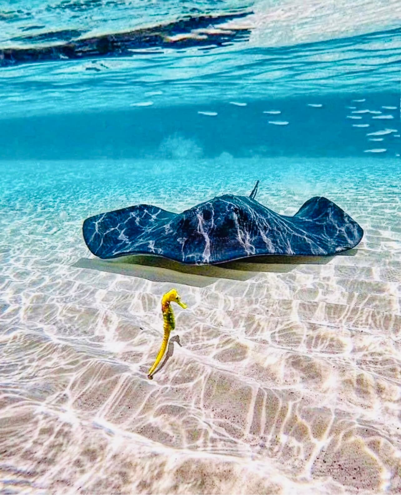 Cozumel Snorkel Tour - Cozumel shore excursion