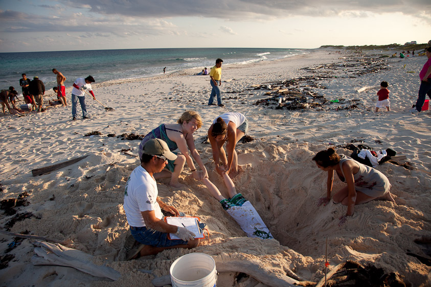 things to do in cozumel mexico