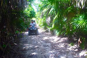 Venture the Jungle with this fun and exciting Cozumel ATV Excursion
