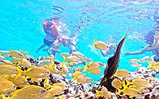 Experience a Cozumel ATV Snorkel tour in Cozumel Mexico