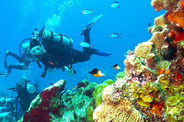 boat dive in cozumel to take our boat dive cozumel scuba diving excursion in cozumel mexico