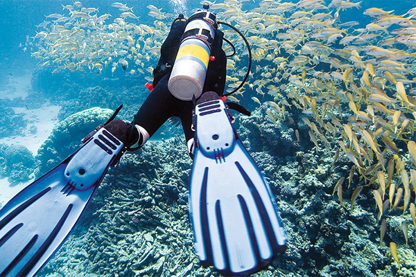 best 1 tank dive in cozumel to learn to dive cozumel from a cozumel boat dive for the best diving cozumel mexico