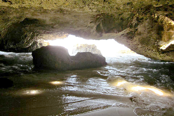 best cozumel buggy tour in cozumel buggy excursion in cozumel mexico