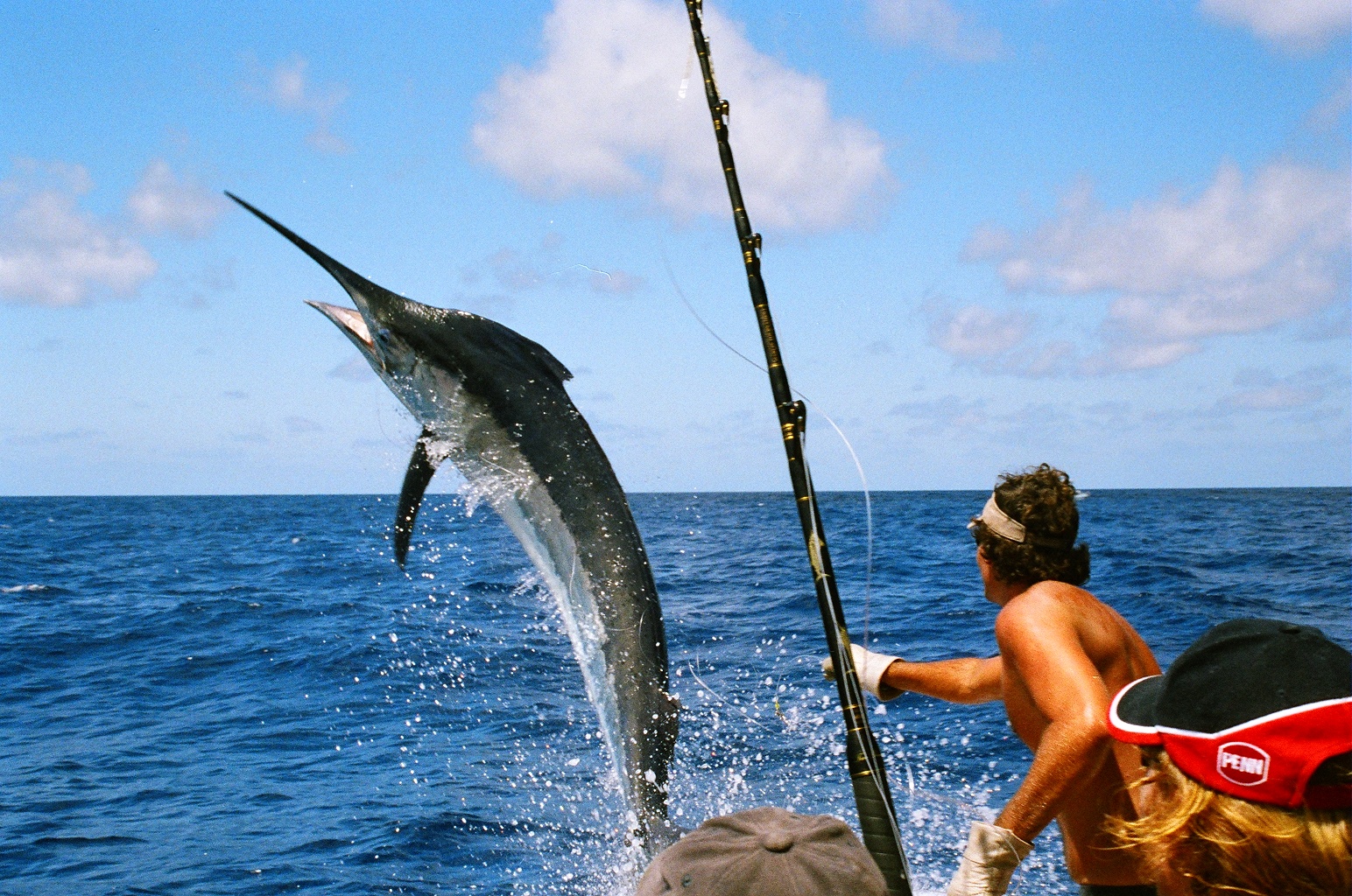 fishing in cozumel deep sea fishing cozumel fishing charter in cozumel mexico