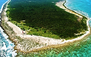 what to do cozumel mexico at punta molas lighthouse