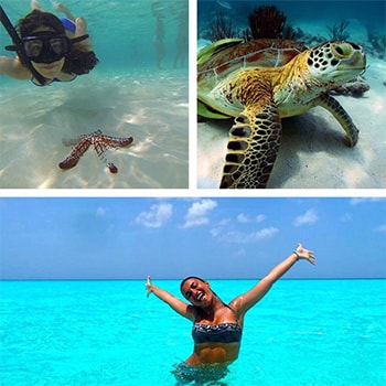 cozumel snorkel snorkeling mexico cielo el cozumelcruiseexcursions tours choose tour board