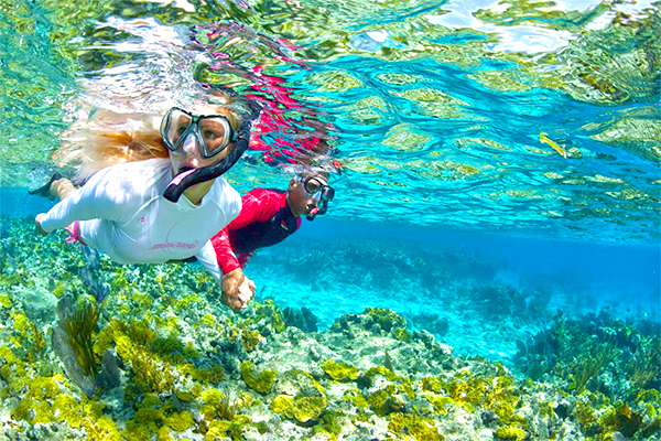 Introducir 90+ imagen cozumel snorkeling excursions